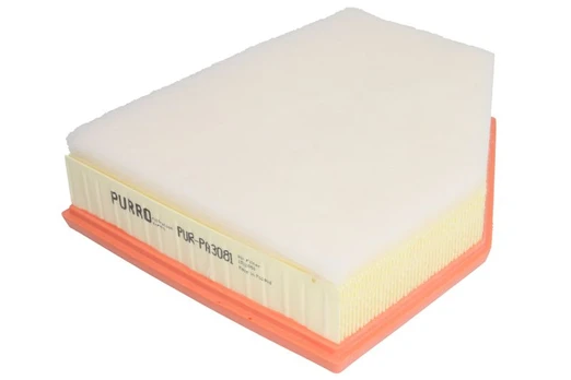 Oro filtras PUR-PA3081