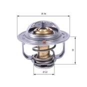 Termostatas, aušinimo skystis GATES TH42589G1 kaina