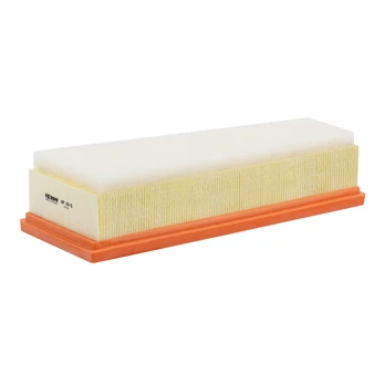 Oro filtras FILTRON AP 119/8