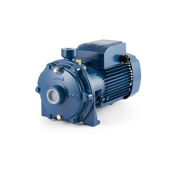 Dvipakopis siurblys Pedrollo 2CP 25/14B 400V
