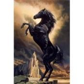 Deimantinis paveikslas Strong Horse WD2391 kaina
