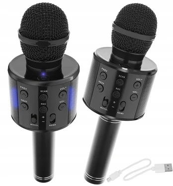 Wireless Karaoke Microphone Bluetooth Speaker 4