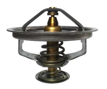 termostatas, aušinimo skystis THERMOTEC D2CU003TT