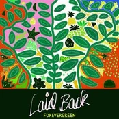 Vinyl (LP) Laid Back - Forevergreen