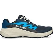 Salomon Bėgimo batai Alphaglide Gtx L47975100 Mėlyna