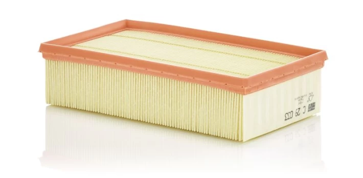 Oro filtras MANN-FILTER C29033