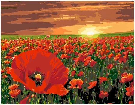 Omaart Evening poppy field