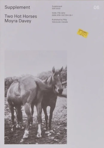Supplement 6: Two Hot Horses