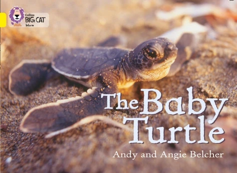 Baby Turtle, Band 03/Yellow