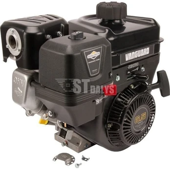 Variklis 6.5 HP BriggsStratton 13L3320312F8