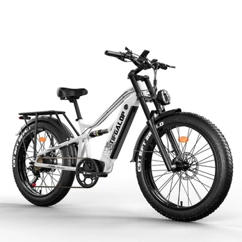 Elektrinis dviratis Tifgalop ES7 26'', baltas