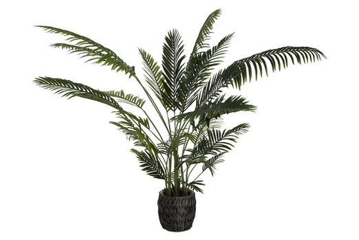 Dirbtinis augalas Palmė Areka, 200 cm