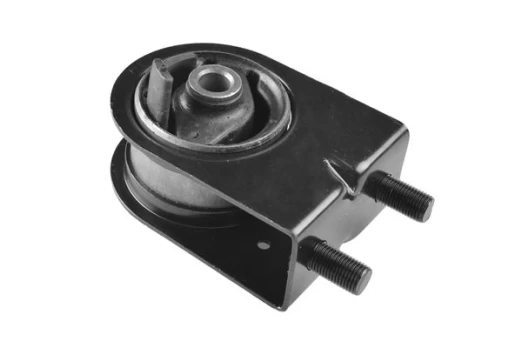 Variklio montavimas TEDGUM 00220524