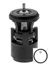 termostatas, aušinimo skystis MOTORAD 385-87 INSK kaina