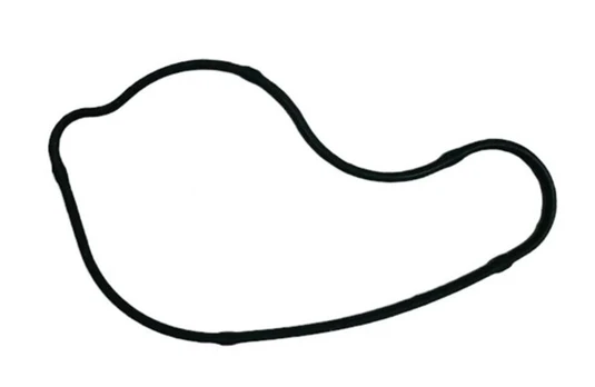 0DM0-080003 SEAL RING, WATER PUMP COVER