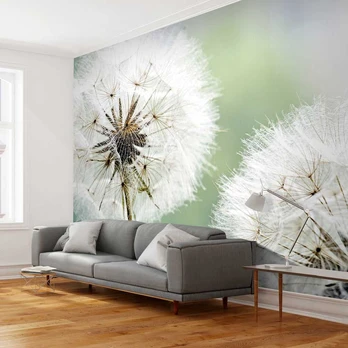 Artgeist Fototapetas - Two dandelions