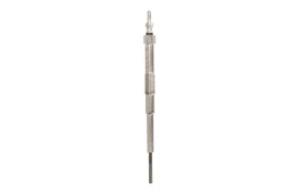Kaitinimo žvakė BorgWarner (BERU) GN116 kaina