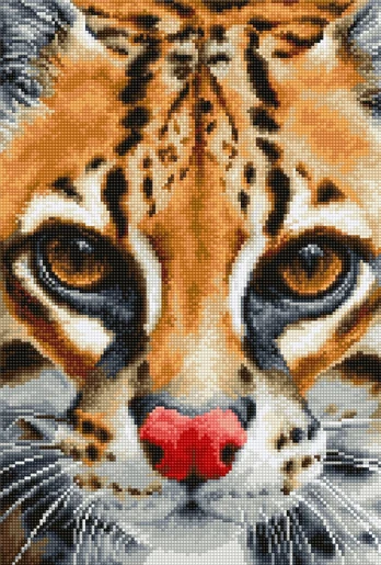 Leopardus Pardalis SBU4008 - siuvinėjimo kryželiu rinkinys