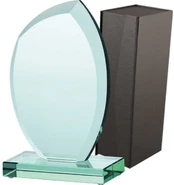 Tryumf Trofeum szklane su etui (G010) kaina
