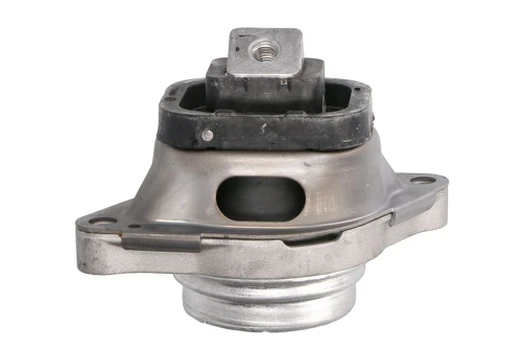 Variklio montavimas TEDGUM TED56443