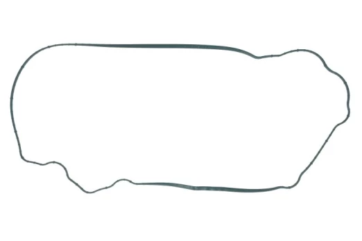 Vožtuvų dangtelio tarpinė FP DIESEL R524468-FP