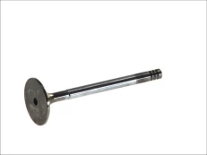 FRECCIA 6179/SCR Inlet valve kaina