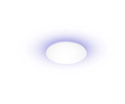 Yeelight Light išmanusis lubinis šviestuvas C 2201C300