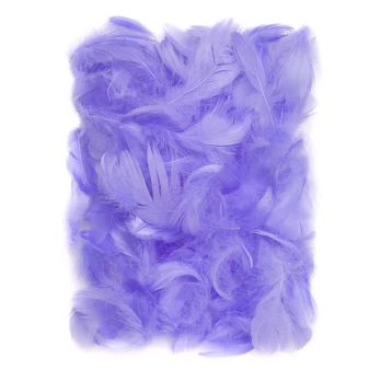 Plunksnos, 5-12 cm, 10 g, šv.violetinės spalvos