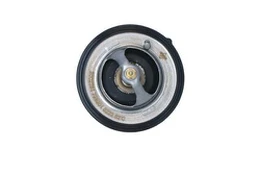 Termostatas, aušinimo skystis NRF 725201 kaina