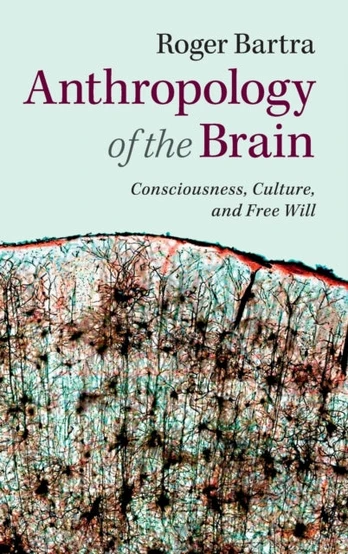Anthropology of the Brain
