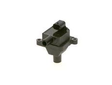 Ritė, uždegimas BOSCH 1 227 030 062 kaina