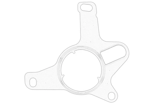 Vakuuminio siurblio tarpinė 457019