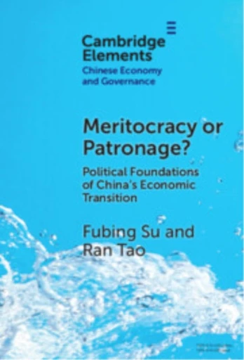Meritocracy or Patronage?