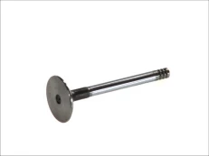 FRECCIA 4483/SCR Inlet valve kaina