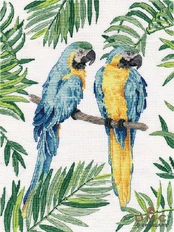 Blue-and-yellow macaw S1348 kaina