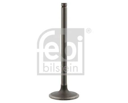 Įvado vožtuvas FEBI BILSTEIN 18767