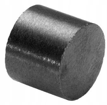 Ferito cilindriniai magnetai 15x10 mm, 30 vnt.