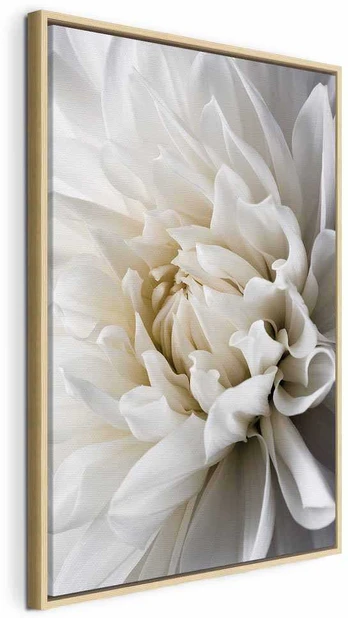Artgeist Paveikslas - Baltas Dahlia