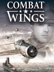 Combat Wings PC