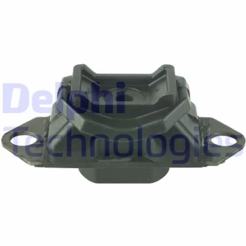 Variklio montavimas DELPHI TEM028