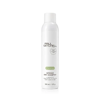 Paul Mitchell Style Extend 300ml