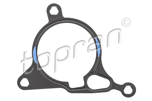 Vakuuminio siurblio tarpinė HP115 262