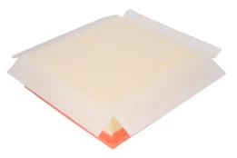 Oro filtras FILTRON AP072/2 kaina