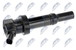 Ritė, uždegimas NTY ECZ-KA-305