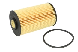 Kuro filtras HENGST FILTER E10KPD10 kaina