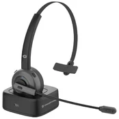 Ausinės Conceptronic POLONA03BD