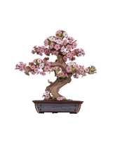 Robotime 3D medinis konstruktorius SAKURA BONSAI