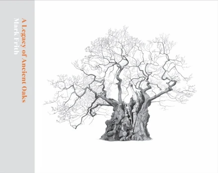 Legacy of Ancient Oaks