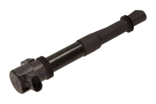 Ritė, uždegimas MAXGEAR 13-0090