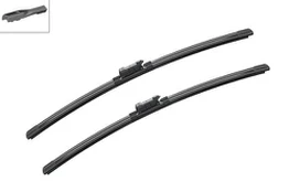 Valytuvai BOSCH 3397009798